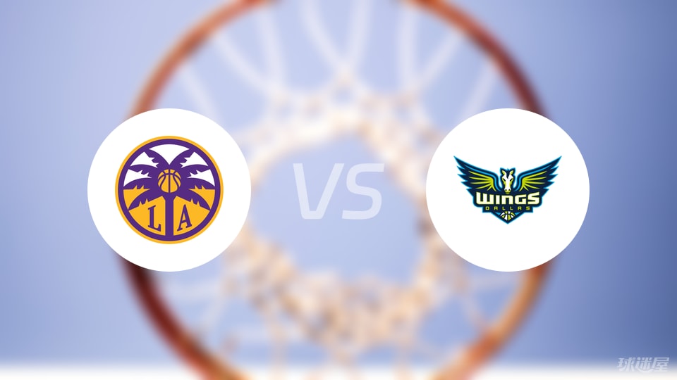 自由人, 后卫, WNBA