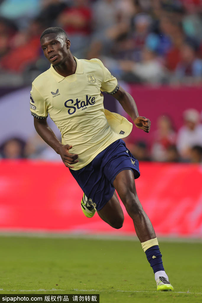 技术解析, The 技术解析, The