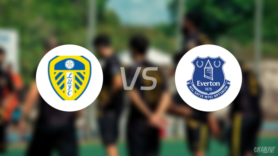 埃弗顿替补 埃弗顿替补