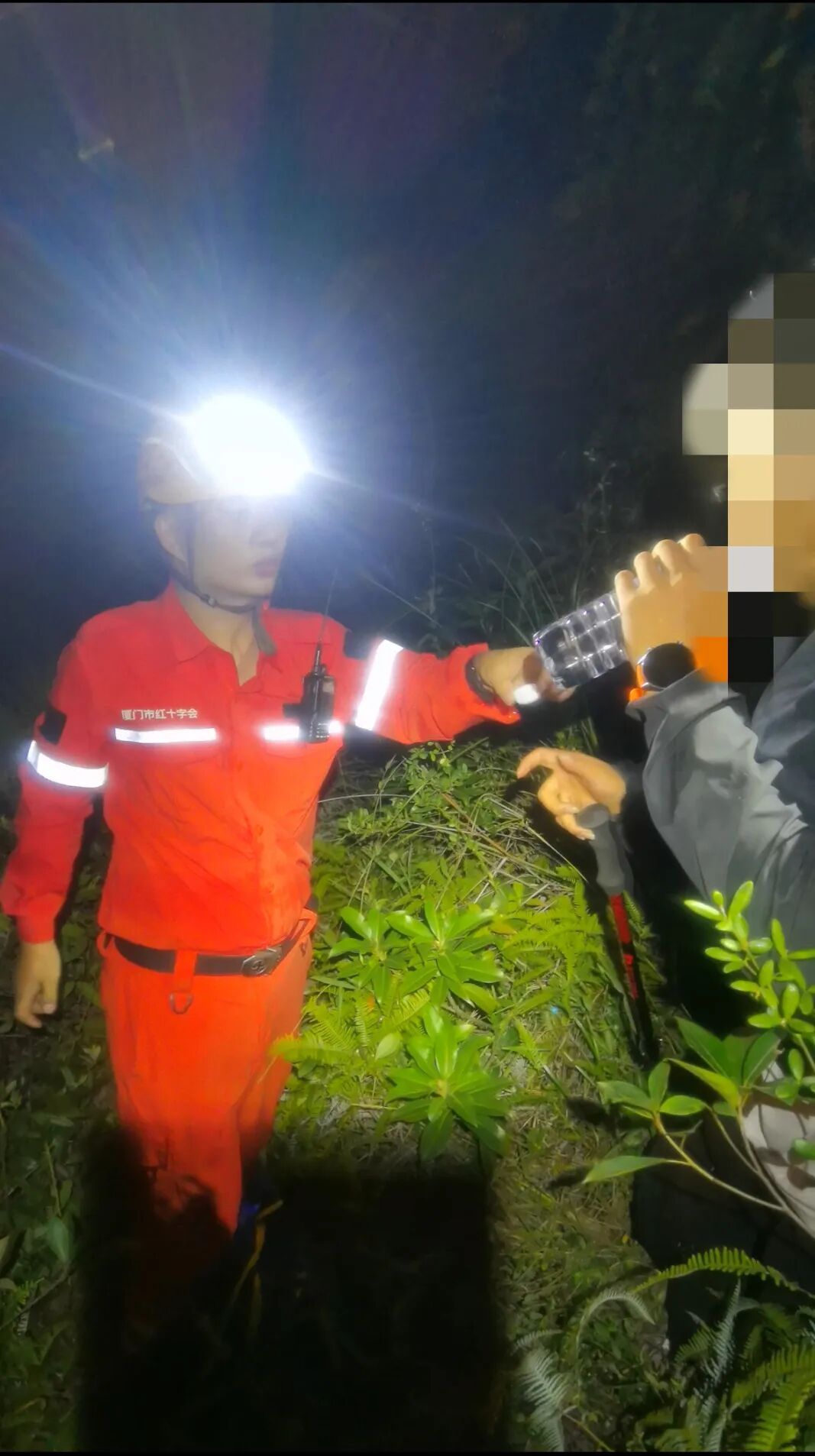 当天上午他, MfSMo